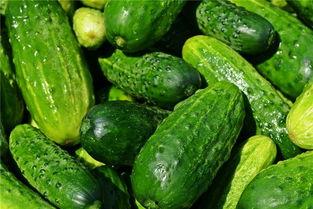 梦见吃粟瓜,揭秘吃粟瓜的神秘寓意