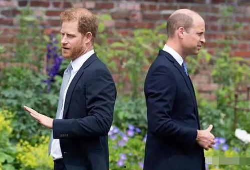 夫妻的世界吃瓜,揭秘婚姻背后的秘密与真相