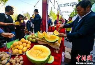 绍兴吃瓜,探寻古城的夏日美味传奇