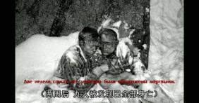 姚莹吃瓜事件,揭秘娱乐圈的“瓜田”风波