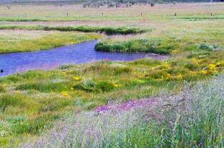 西海吃瓜,揭秘娱乐圈背后的那些事儿