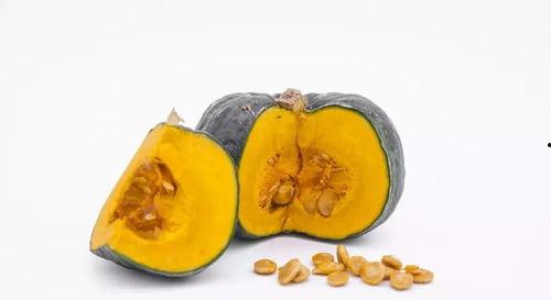 南瓜吃瓜的视频,趣味横生的田园奇遇记