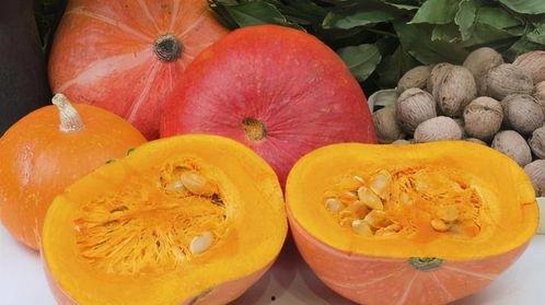 南瓜吃瓜的视频,趣味横生的田园奇遇记