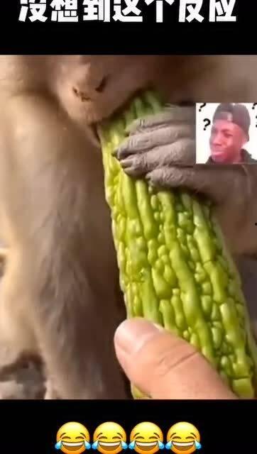 吃瓜网友反应,揭秘娱乐圈最新热点事件！