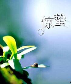 惊蛰吃瓜文案,瓜果飘香，解锁春日美味新篇章