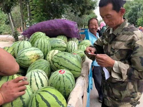 红泥湾吃瓜,夏日消暑好去处