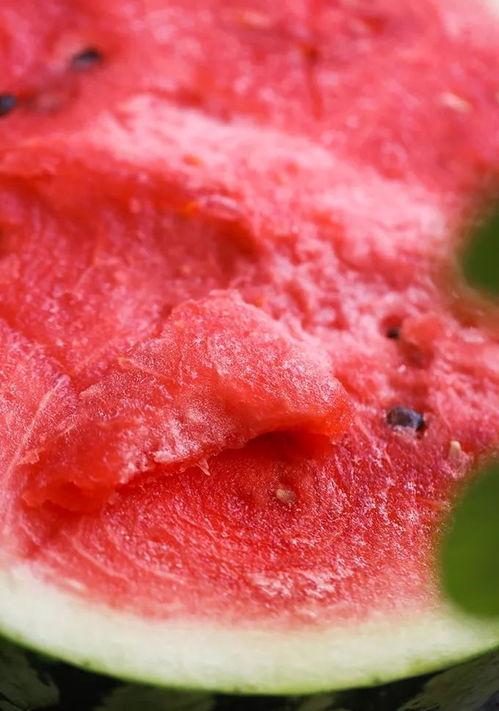 杭麻吃瓜,揭秘网红美食背后的故事