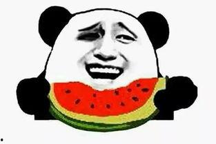 吃瓜群众雷哥,揭秘娱乐圈那些不为人知的幕后故事