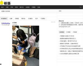 摸鱼吃瓜网站,轻松娱乐背后的社会思考