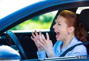开车女司机吃瓜,一场关于驾驶与安全的讨论