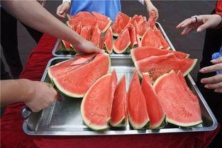 消暑吃瓜节,夏日清凉美食狂欢盛典