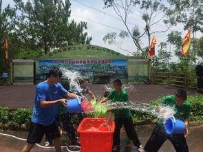 消暑吃瓜节,夏日清凉美食狂欢盛典