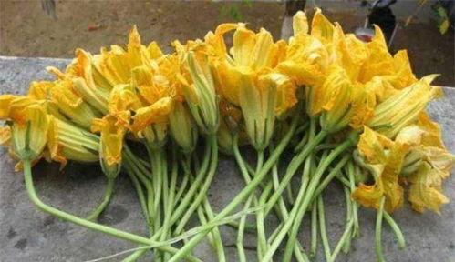 兰瓜杆怎么吃,探索美味与营养的完美结合