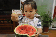 搞笑小孩吃瓜群众,小孩吃瓜群众的欢乐日常