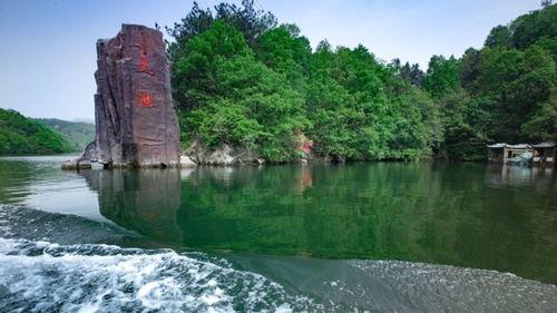 吃瓜的木兰,揭秘娱乐圈背后的故事