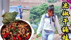 滁州定远吃瓜,夏日吃瓜盛宴，尽享清凉时光