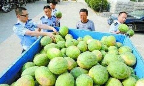 润土吃瓜群,揭秘网络社交圈的趣味与争议