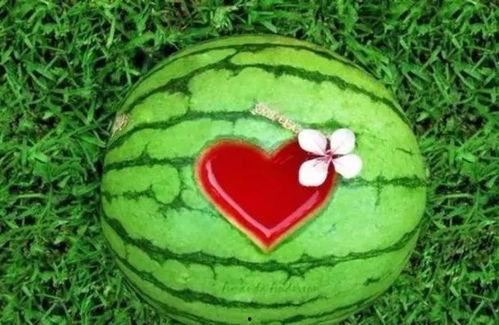 带你吃瓜技能,带你领略娱乐圈的“瓜田”盛景