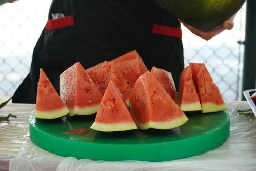 带你吃瓜技能,带你领略娱乐圈的“瓜田”盛景