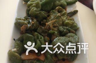 西固区吃瓜,品味夏日田园风情