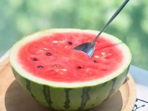 吃美食说瓜,探寻美食瓜果的奥秘与魅力