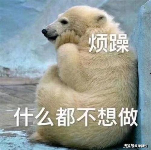 吃瓜群众解压图片,趣味图片带你轻松减压