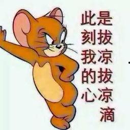 吃瓜群众解压图片,趣味图片带你轻松减压