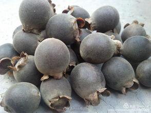 君姑吃瓜,揭秘娱乐圈幕后故事