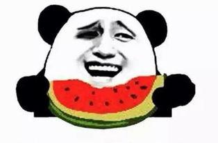 吃瓜看片,吃瓜看片，解码明星幕后故事