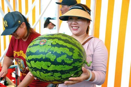 吃瓜看片,吃瓜看片，解码明星幕后故事