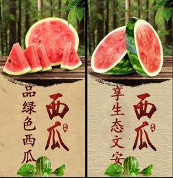 文安人吃文安瓜,品味家乡美味，传承文化瑰宝