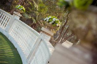 吃瓜星达城,一场美食与文化的盛宴