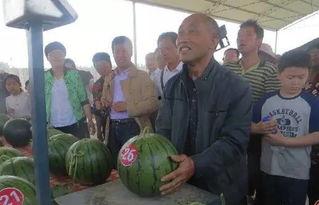 巨人僵尸吃瓜群众,巨人僵尸与吃瓜群众的奇幻冒险之旅