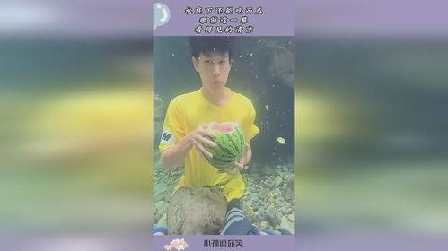 水底吃瓜,揭秘神秘水底吃瓜现象