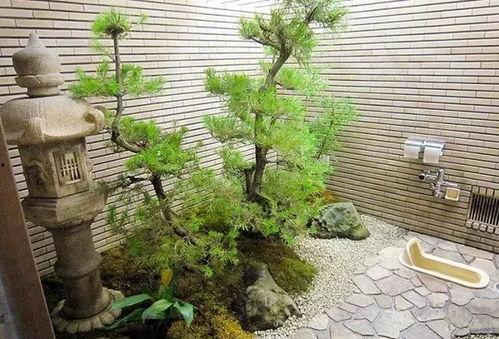 沙雕吃瓜屋,揭秘娱乐圈幕后那些事儿