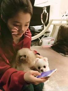 职业吃瓜女,揭秘职业吃瓜女生的独特魅力与生活点滴