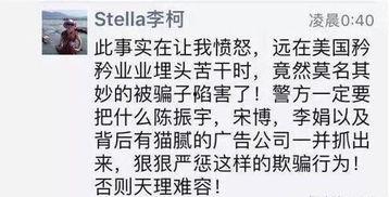 朝阳吃瓜群众今日吃瓜宋体,宋体字体背后的故事