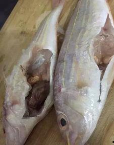 六月瓜能和鱼一起吃吗吗,六月瓜与鱼同食的适宜性探讨