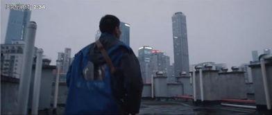 震撼吃瓜网友视频,揭秘幕后真相，带你领略网络热点的魅力