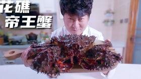 郭老师吃麒麟瓜,邂逅神秘麒麟瓜的奇幻之旅