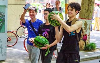 吃瓜学校合集,揭秘校园里的那些趣闻轶事