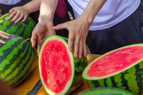 吃瓜学校合集,揭秘校园里的那些趣闻轶事