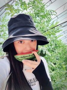 大莱吃瓜,揭秘娱乐圈幕后故事