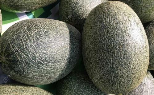 杏和哈密瓜能一起吃