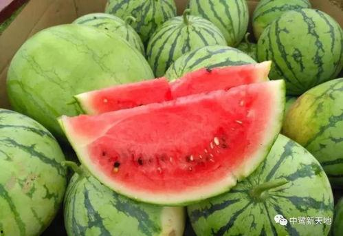 今天吃瓜网,吃瓜网独家爆料，明星幕后故事大公开！