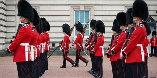 英国卫兵吃瓜视频,萌态十足引网友热议