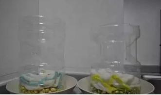 瓶子老师吃瓜,揭秘娱乐圈那些不为人知的幕后故事