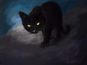 黑猫吃瓜夸克,揭秘夸克世界的奇妙之旅