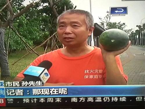 热门吃瓜事件视频观看,视频背后的真相与争议