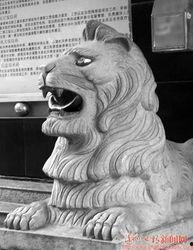 福建石狮吃瓜,探寻福建石狮的“吃瓜”文化之旅